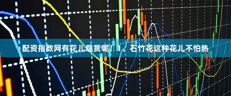 配资指数网有花儿观赏呢！1、石竹花这种花儿不怕热