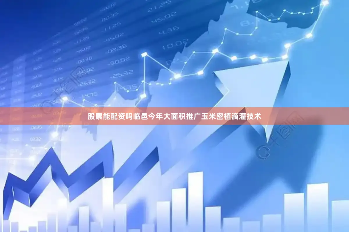 股票能配资吗临邑今年大面积推广玉米密植滴灌技术