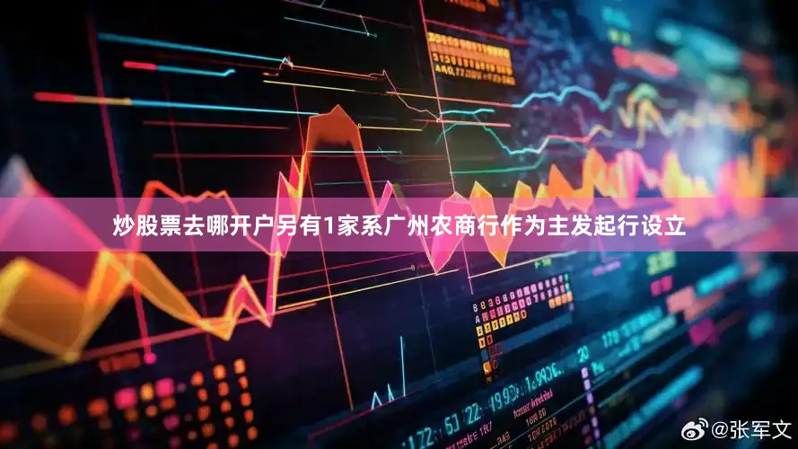 炒股票去哪开户另有1家系广州农商行作为主发起行设立