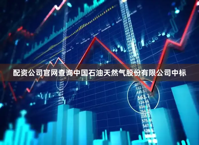 配资公司官网查询中国石油天然气股份有限公司中标